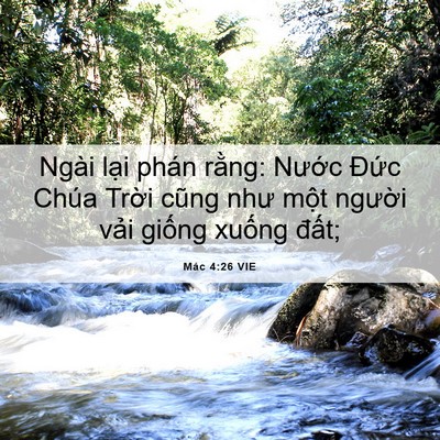 Picture 06 - Mác 4:26 VIE - Ngài lại phán rằng: Nước Đức Chúa - Bible Verse Picture