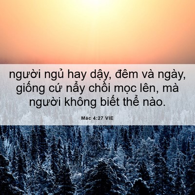 Picture 06 - Mác 4:27 VIE - người ngủ hay dậy, đêm và ngày, - Bible Verse Picture