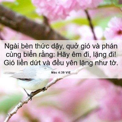 Picture 06 - Mác 4:39 VIE - Ngài bèn thức dậy, quở gió và phán - Bible Verse Picture
