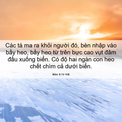 Picture 06 - Mác 5:13 VIE - Các tà ma ra khỏi người đó, bèn nhập - Bible Verse Picture