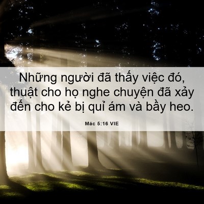 Picture 06 - Mác 5:16 VIE - Những người đã thấy việc đó, thuật - Bible Verse Picture