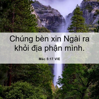 Picture 06 - Mác 5:17 VIE - Chúng bèn xin Ngài ra khỏi địa phận - Bible Verse Picture