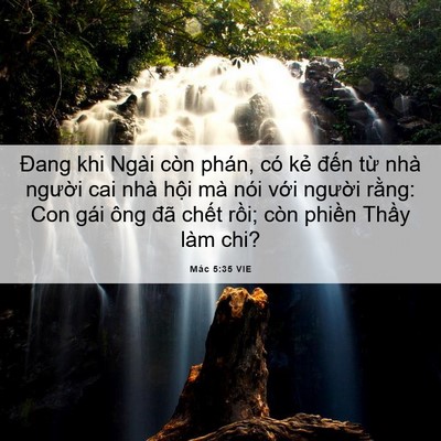 Picture 06 - Mác 5:35 VIE - Đang khi Ngài còn phán, có kẻ đến từ - Bible Verse Picture