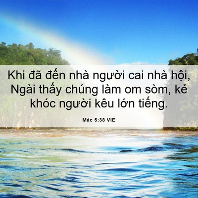 Picture 06 - Mác 5:38 VIE - Khi đã đến nhà người cai nhà hội, - Bible Verse Picture