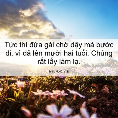 Picture 06 - Mác 5:42 VIE - Tức thì đứa gái chờ dậy mà bước - Bible Verse Picture