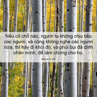 Picture 06 - Mác 6:11 VIE - Nếu có chỗ nào, người ta không chịu - Bible Verse Picture