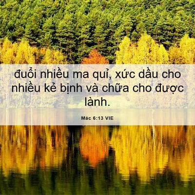 Picture 06 - Mác 6:13 VIE - đuổi nhiều ma quỉ, xức dầu cho nhiều - Bible Verse Picture