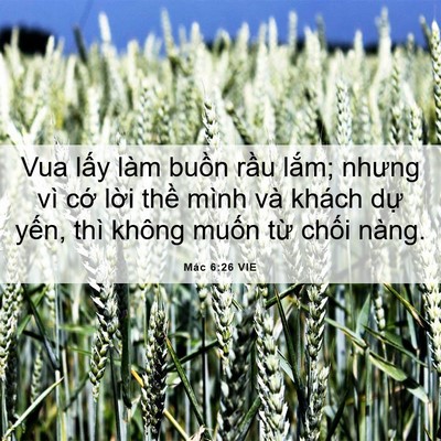 Picture 06 - Mác 6:26 VIE - Vua lấy làm buồn rầu lắm; nhưng vì - Bible Verse Picture