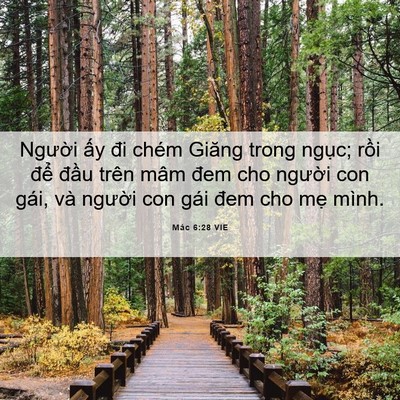 Picture 06 - Mác 6:28 VIE - Người ấy đi chém Giăng trong ngục; - Bible Verse Picture