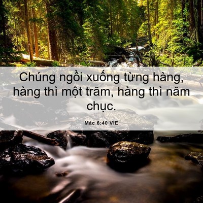 Picture 06 - Mác 6:40 VIE - Chúng ngồi xuống từng hàng, hàng thì - Bible Verse Picture