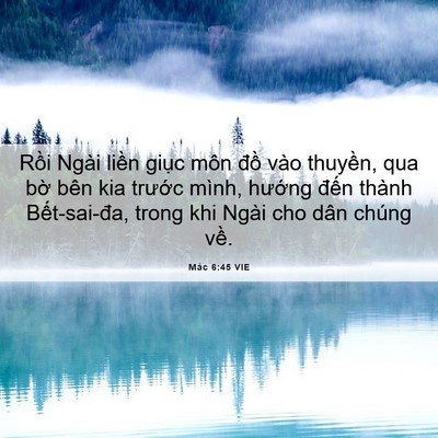 Picture 06 - Mác 6:45 VIE - Rồi Ngài liền giục môn đồ vào - Bible Verse Picture