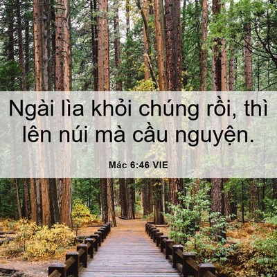 Picture 06 - Mác 6:46 VIE - Ngài lìa khỏi chúng rồi, thì lên núi - Bible Verse Picture