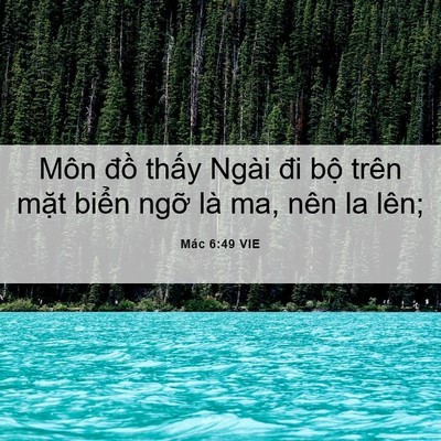 Picture 06 - Mác 6:49 VIE - Môn đồ thấy Ngài đi bộ trên mặt - Bible Verse Picture