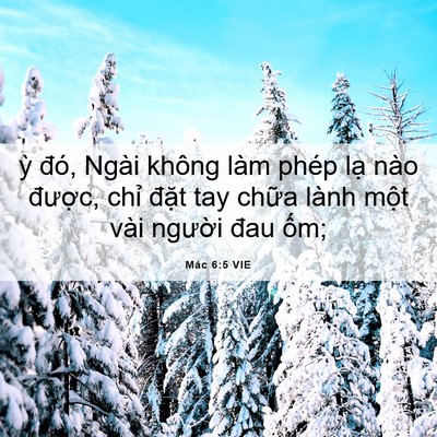 Picture 06 - Mác 6:5 VIE - ỳ đó, Ngài không làm phép lạ nào - Bible Verse Picture