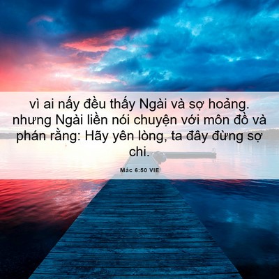 Picture 06 - Mác 6:50 VIE - vì ai nấy đều thấy Ngài và sợ - Bible Verse Picture