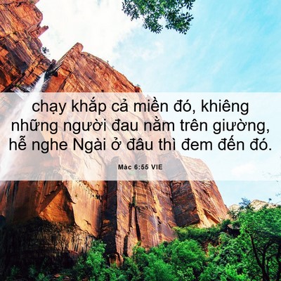 Picture 06 - Mác 6:55 VIE - chạy khắp cả miền đó, khiêng những - Bible Verse Picture