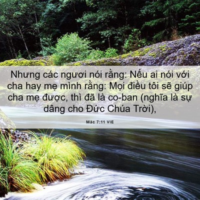 Picture 06 - Mác 7:11 VIE - Nhưng các ngươi nói rằng: Nếu ai nói - Bible Verse Picture