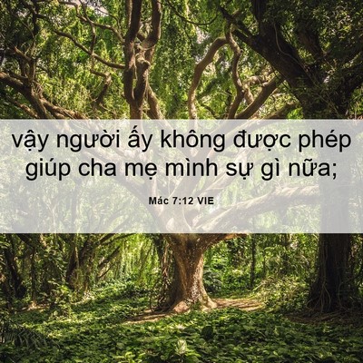 Picture 06 - Mác 7:12 VIE - vậy người ấy không được phép giúp - Bible Verse Picture