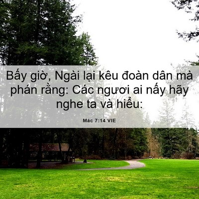 Picture 06 - Mác 7:14 VIE - Bấy giờ, Ngài lại kêu đoàn dân mà - Bible Verse Picture