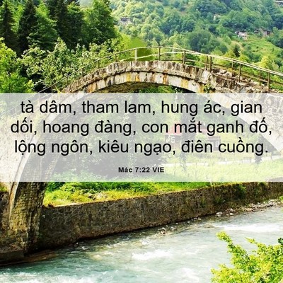 Picture 06 - Mác 7:22 VIE - tà dâm, tham lam, hung ác, gian dối, hoang - Bible Verse Picture