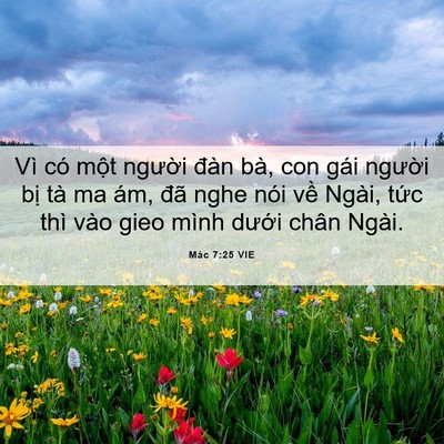 Picture 06 - Mác 7:25 VIE - Vì có một người đàn bà, con gái - Bible Verse Picture