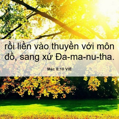 Picture 06 - Mác 8:10 VIE - rồi liền vào thuyền với môn đồ, sang - Bible Verse Picture