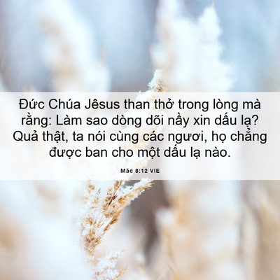 Picture 06 - Mác 8:12 VIE - Đức Chúa Jêsus than thở trong lòng mà - Bible Verse Picture