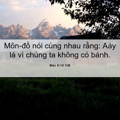 Picture 06 - Mác 8:16 VIE - Môn-đồ nói cùng nhau rằng: Aáy là vì - Bible Verse Picture