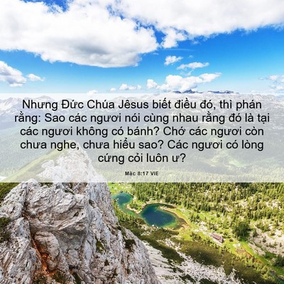 Picture 06 - Mác 8:17 VIE - Nhưng Đức Chúa Jêsus biết điều đó, - Bible Verse Picture