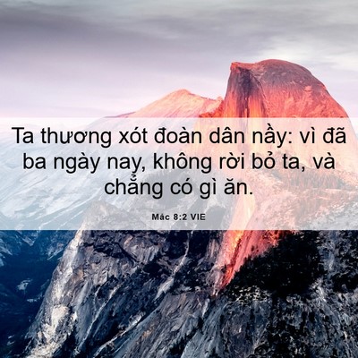 Picture 06 - Mác 8:2 VIE - Ta thương xót đoàn dân nầy: vì đã ba - Bible Verse Picture