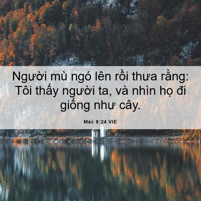 Picture 06 - Mác 8:24 VIE - Người mù ngó lên rồi thưa rằng: Tôi - Bible Verse Picture