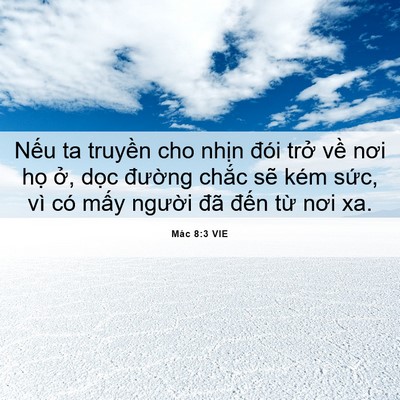 Picture 06 - Mác 8:3 VIE - Nếu ta truyền cho nhịn đói trở về - Bible Verse Picture