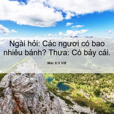 Picture 06 - Mác 8:5 VIE - Ngài hỏi: Các ngươi có bao nhiêu bánh? - Bible Verse Picture