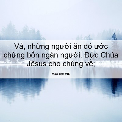 Picture 06 - Mác 8:9 VIE - Vả, những người ăn đó ước chừng - Bible Verse Picture