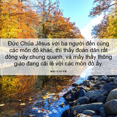 Picture 06 - Mác 9:14 VIE - Đức Chúa Jêsus với ba người đến - Bible Verse Picture