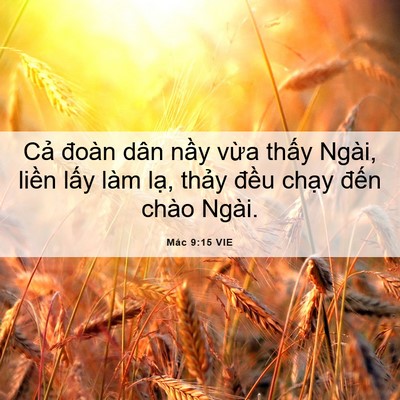 Picture 06 - Mác 9:15 VIE - Cả đoàn dân nầy vừa thấy Ngài, liền - Bible Verse Picture