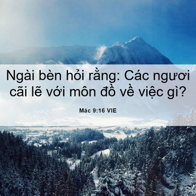 Picture 06 - Mác 9:16 VIE - Ngài bèn hỏi rằng: Các ngươi cãi lẽ - Bible Verse Picture