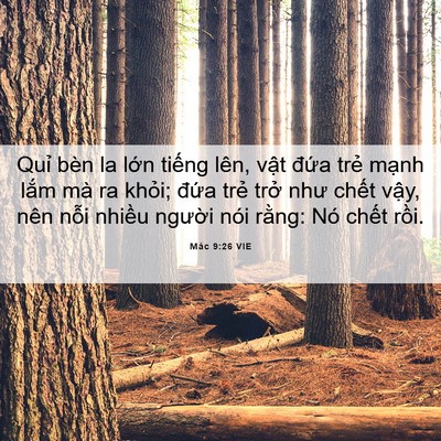 Picture 06 - Mác 9:26 VIE - Quỉ bèn la lớn tiếng lên, vật đứa - Bible Verse Picture