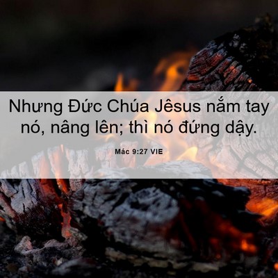 Picture 06 - Mác 9:27 VIE - Nhưng Đức Chúa Jêsus nắm tay nó, nâng - Bible Verse Picture