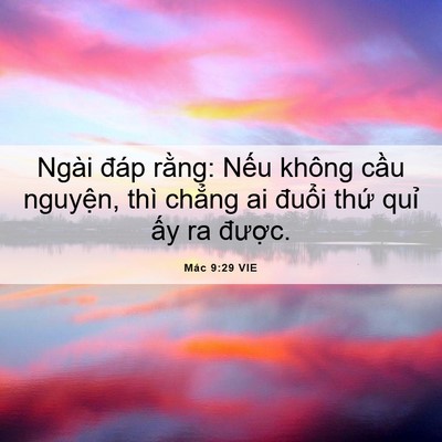 Picture 06 - Mác 9:29 VIE - Ngài đáp rằng: Nếu không cầu nguyện, - Bible Verse Picture