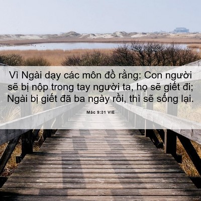 Picture 06 - Mác 9:31 VIE - Vì Ngài dạy các môn đồ rằng: Con - Bible Verse Picture