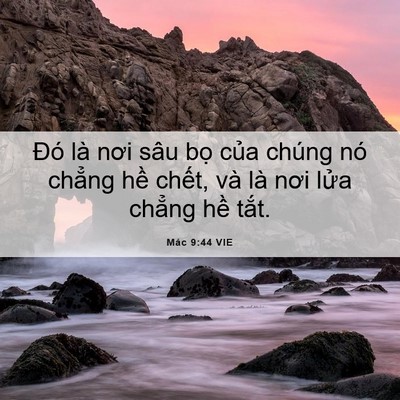 Picture 06 - Mác 9:44 VIE - Đó là nơi sâu bọ của chúng nó chẳng - Bible Verse Picture