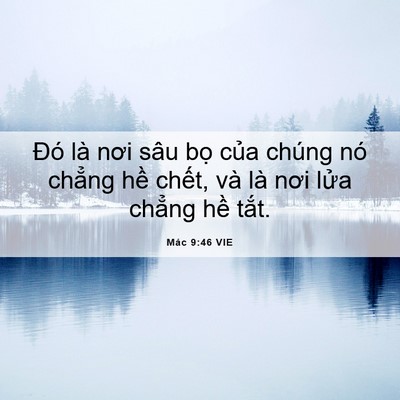 Picture 06 - Mác 9:46 VIE - Đó là nơi sâu bọ của chúng nó chẳng - Bible Verse Picture