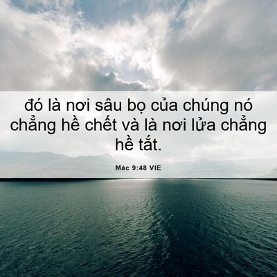 Picture 06 - Mác 9:48 VIE - đó là nơi sâu bọ của chúng nó chẳng - Bible Verse Picture
