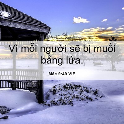 Picture 06 - Mác 9:49 VIE - Vì mỗi người sẽ bị muối bằng - Bible Verse Picture