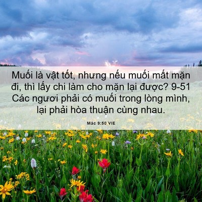 Picture 06 - Mác 9:50 VIE - Muối là vật tốt, nhưng nếu muối mất - Bible Verse Picture