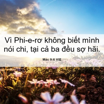 Picture 06 - Mác 9:6 VIE - Vì Phi-e-rơ không biết mình nói chi, tại - Bible Verse Picture
