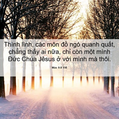 Picture 06 - Mác 9:8 VIE - Thình lình, các môn đồ ngó quanh quất, - Bible Verse Picture