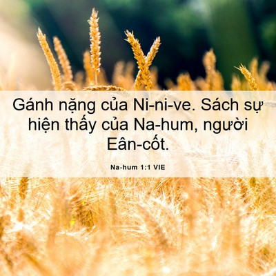 Picture 06 - Na-hum 1:1 VIE - Gánh nặng của Ni-ni-ve. Sách sự hiện - Bible Verse Picture
