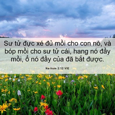 Picture 06 - Na-hum 2:12 VIE - Sư tử đực xé đủ mồi cho con nó, và - Bible Verse Picture